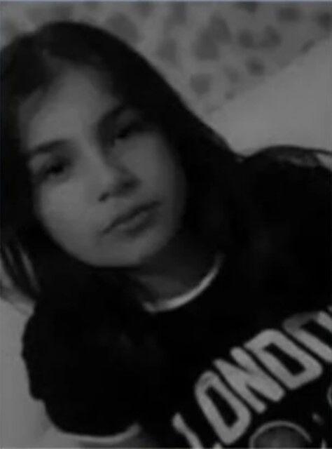 Sokak köpekleri dehşet saçtı: 12 yaşındaki Eslem hayatını kaybetti - 1. Resim