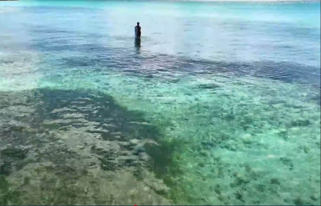 Survivor'da korku dolu anlar! Adem Kılıçcı köpekbalıklarının arasında kaldı: İşte son durumu... - 3. Resim