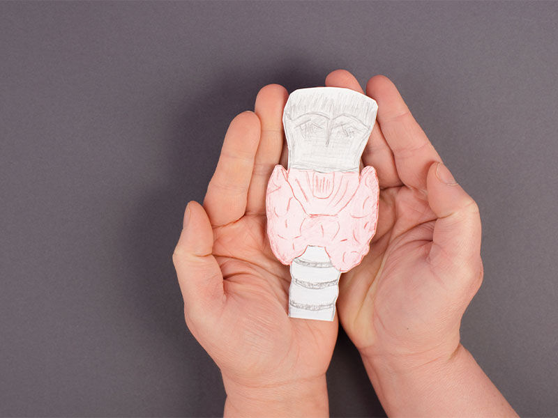 Tiroid bezi nedir? Tiroid bezi nedir? - 3. Resim