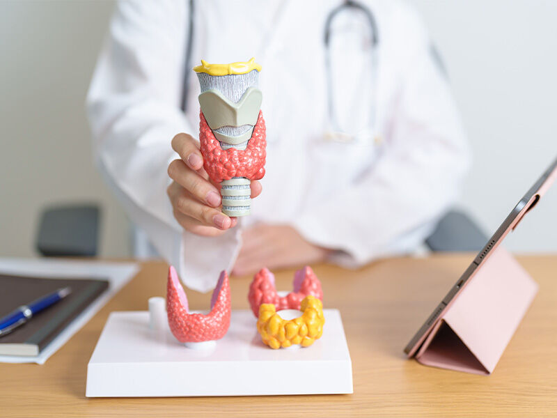 Tiroid bezi nedir? Tiroid bezi nedir? - 2. Resim