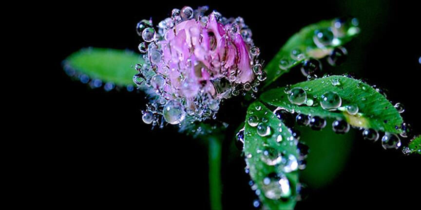 İlk cemre ne zaman, nereye düşecek? 2025 cemre düşme tarihleri belli oldu - 1. Resim