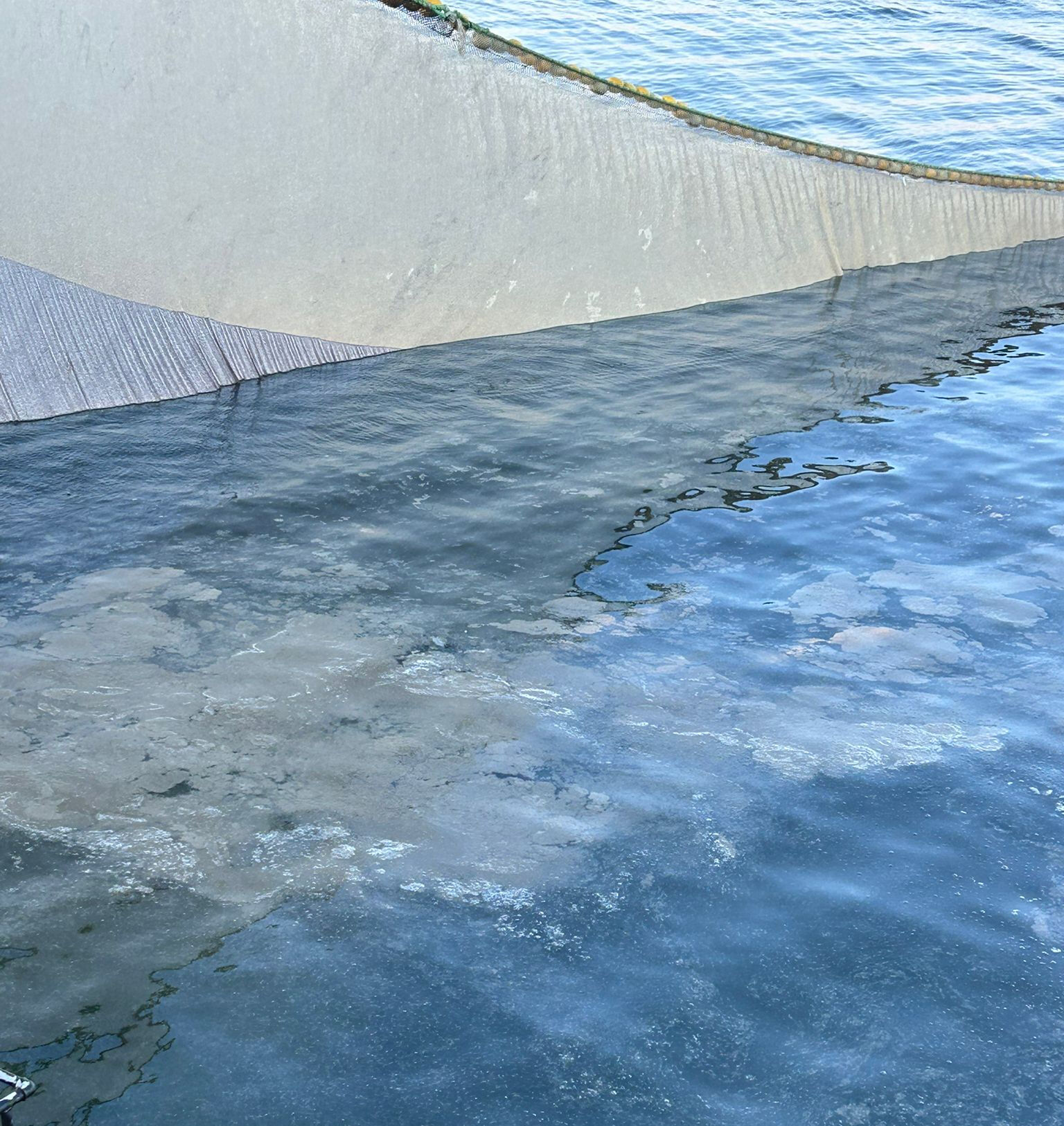 Marmara'nın korkulu rüyası geri döndü! Ağlara balık yerine müsilaj takıldı - 1. Resim