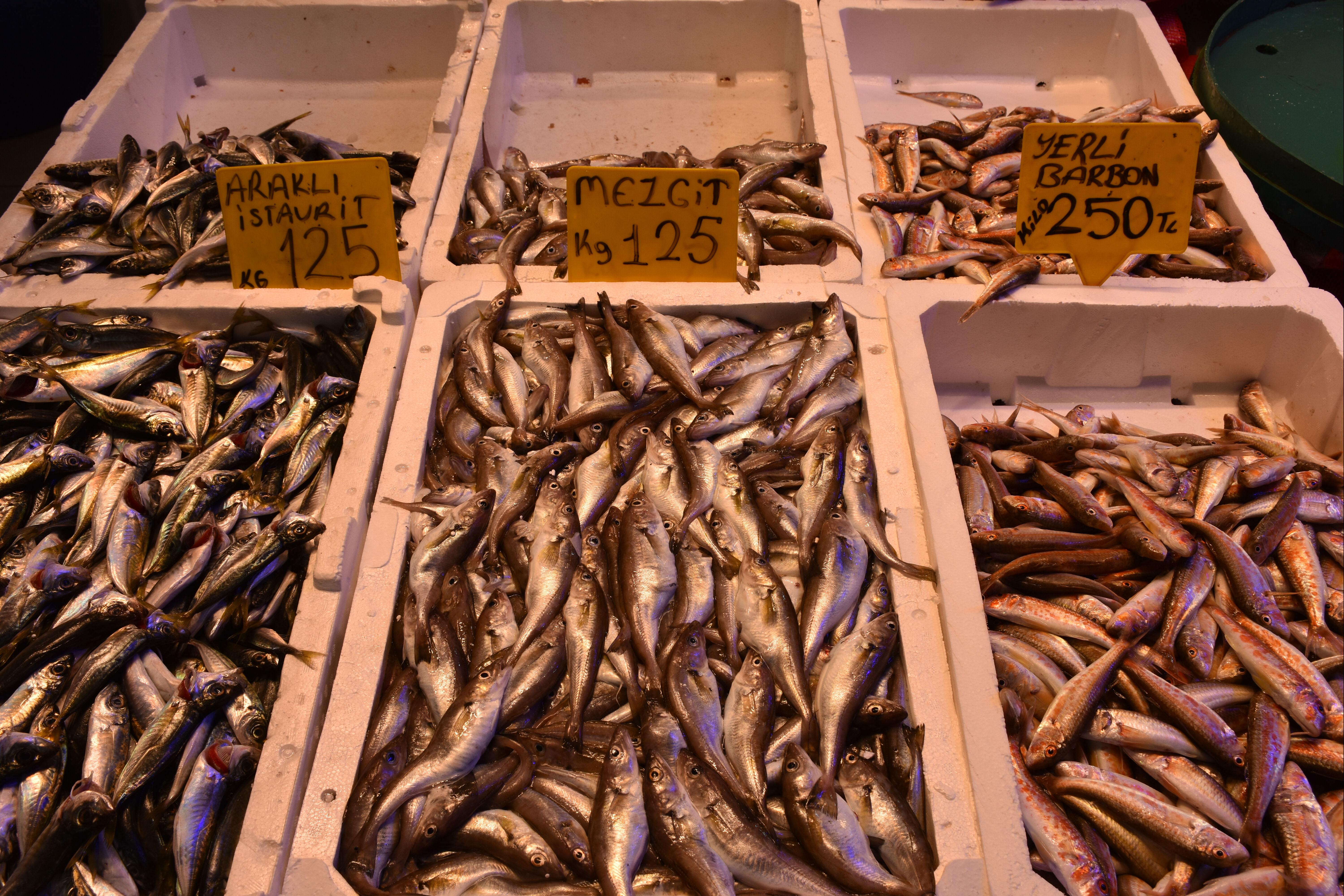 Tezgahlarda satılan en ucuz balıklar belli oldu! Kilosu 100 lira - 2. Resim
