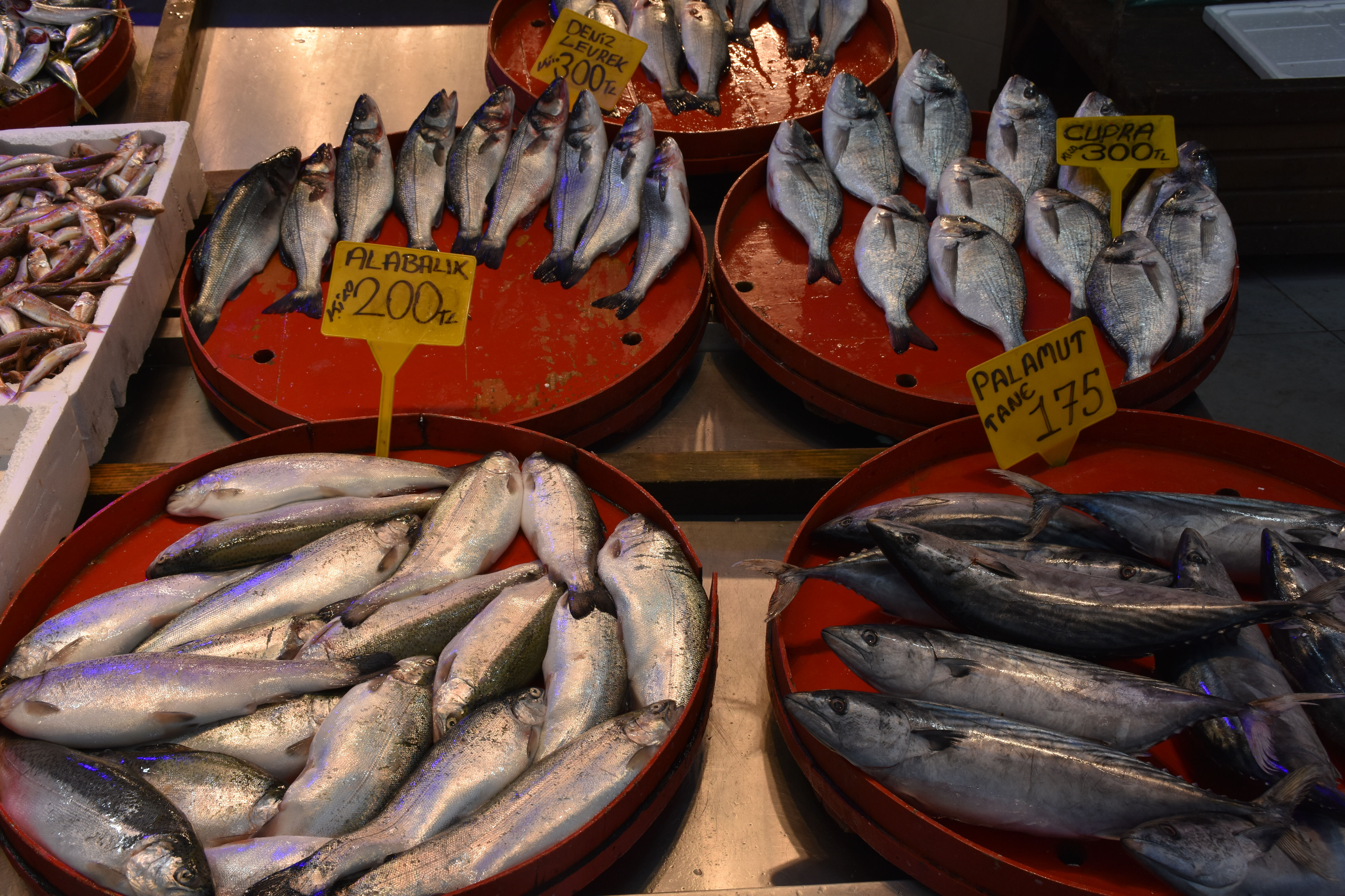 Tezgahlarda satılan en ucuz balıklar belli oldu! Kilosu 100 lira - 3. Resim