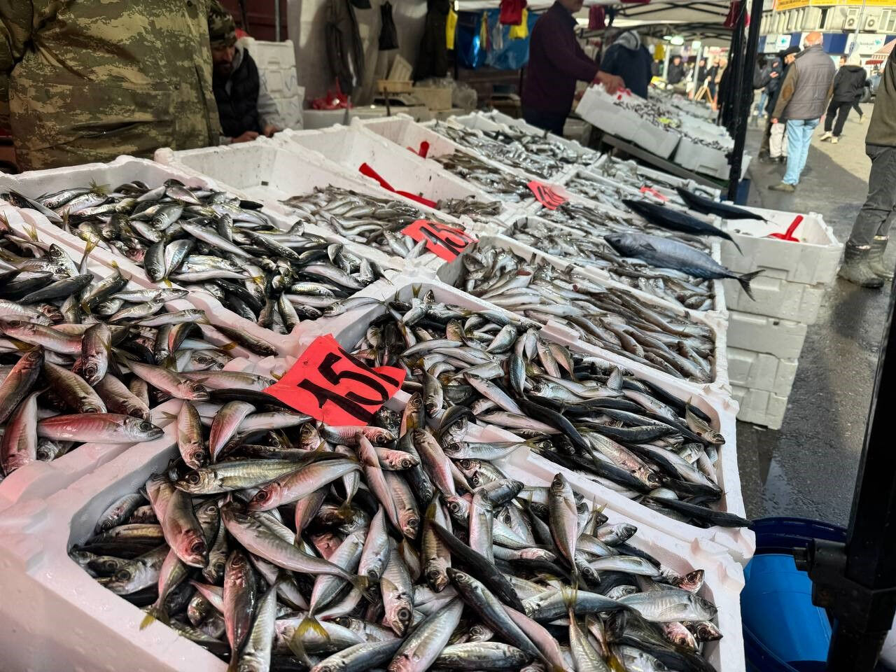 Hamsi ve istavrit ne kadar? Tezgahlarda bolluk yaşanıyor - 1. Resim
