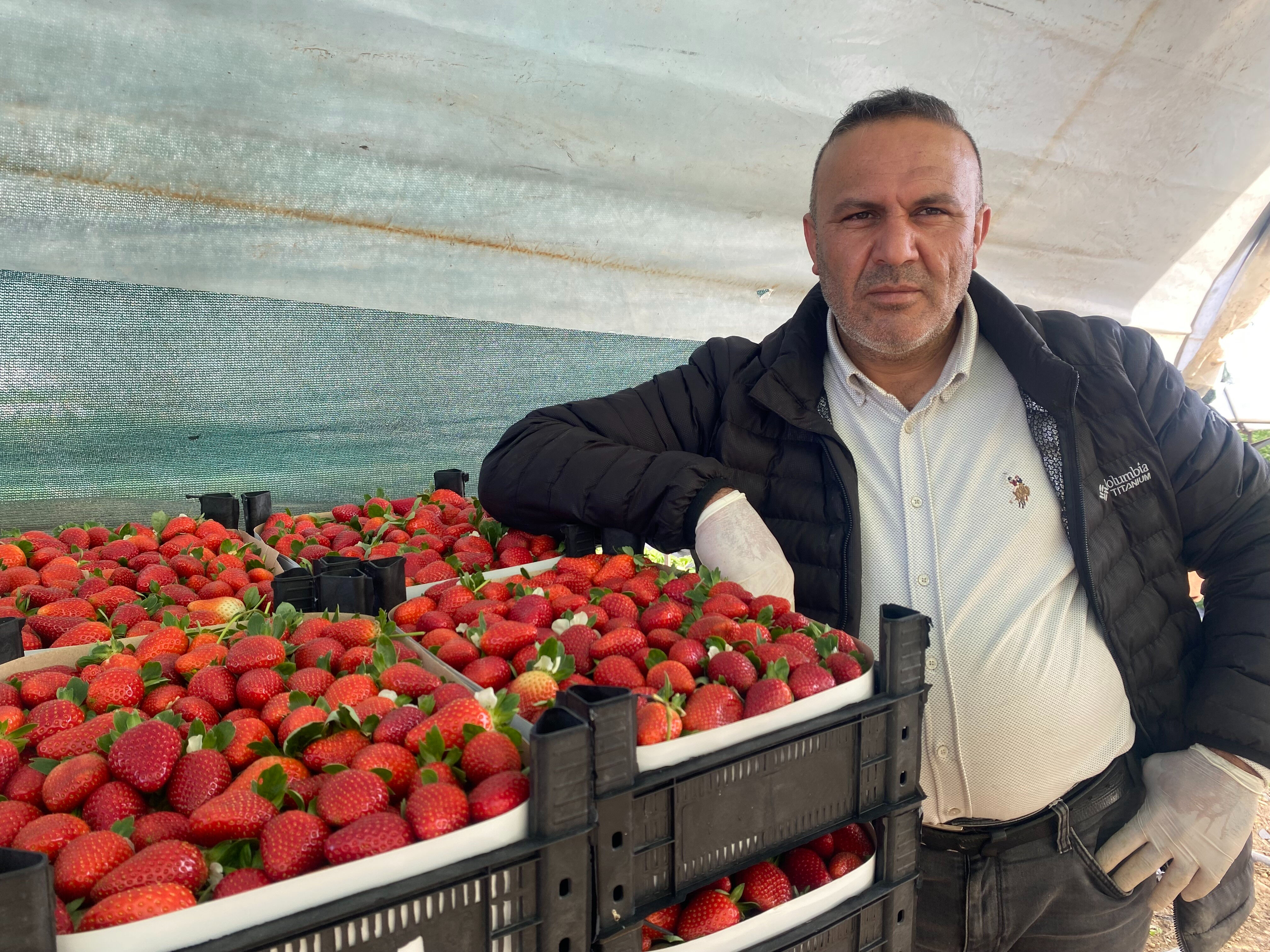 Çiftçi şokta, bir anda fiyatı dip yaptı! 400 liradan satılıyordu, 1 ay içinde 90 liraya düştü Çiftçi şokta! 400 liradan satılıyordu, 1 ay içinde 90 liraya düştü - 4. Resim