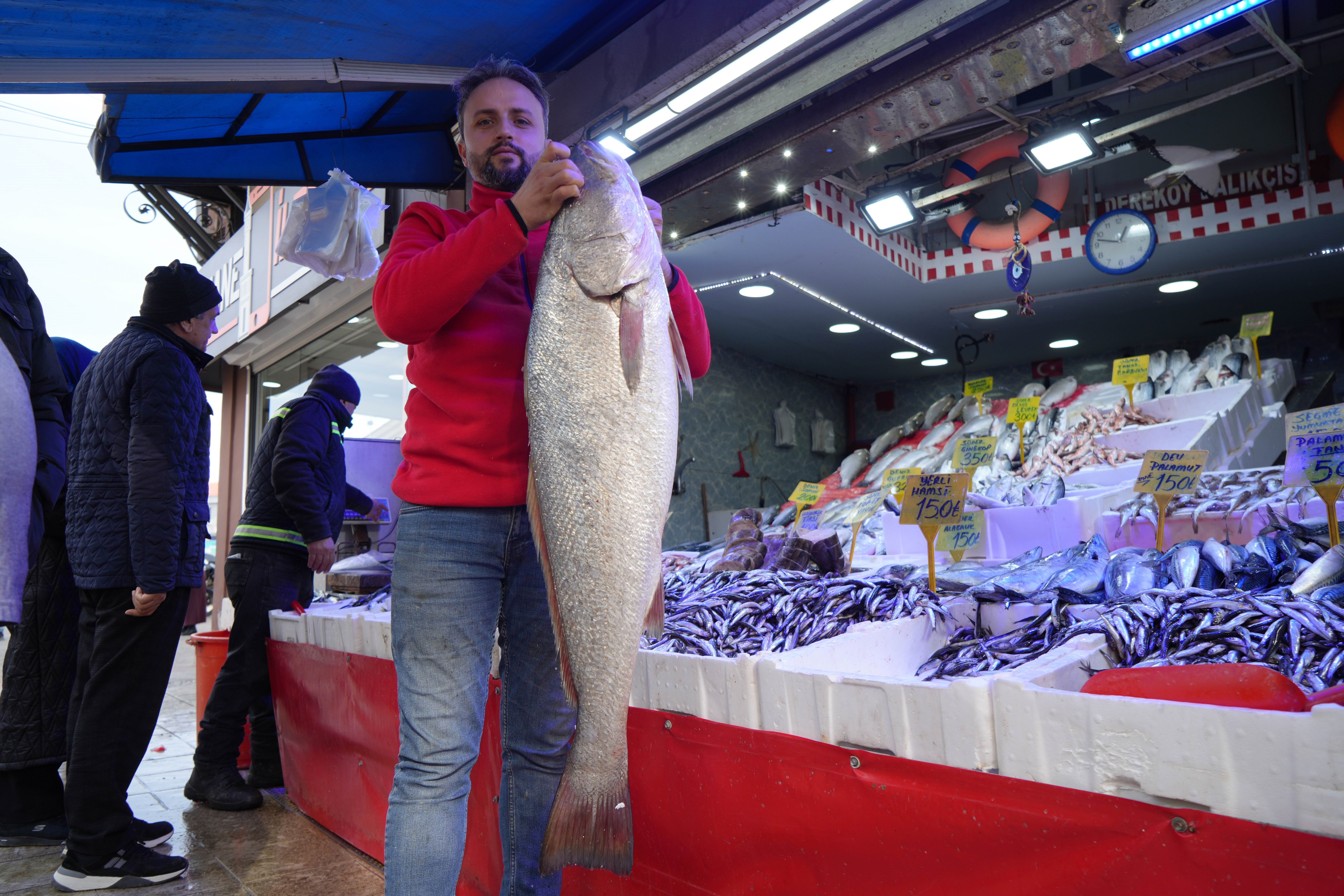 Dev balık Samsun'da yakalandı! Tezgaha indikten 10 dakika sonra 6 bin TL'ye satıldı - 1. Resim