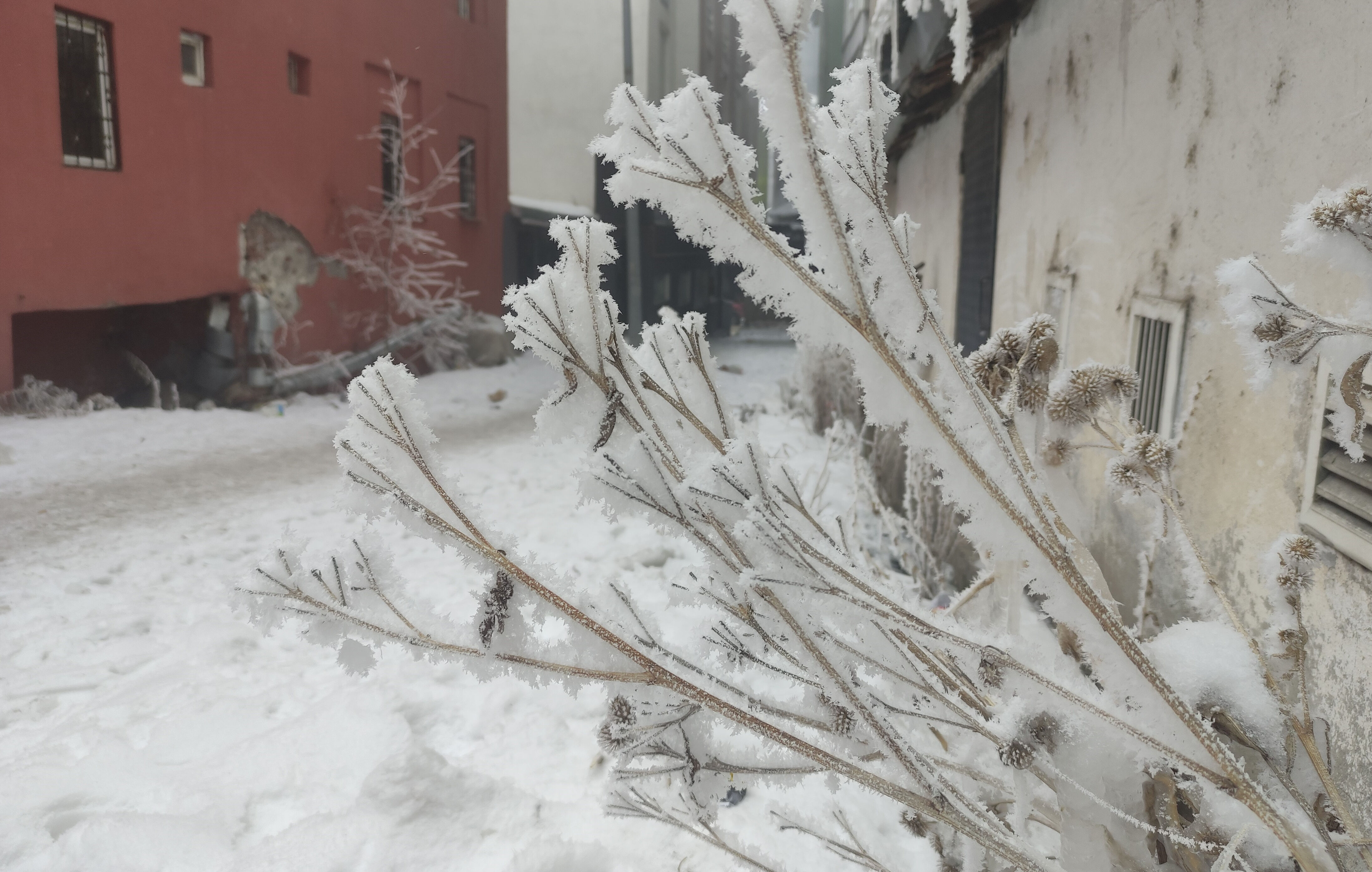 Eksi 27 dereceyi gören kentte araçlar, kapı ve pencereler buz tuttu - 1. Resim