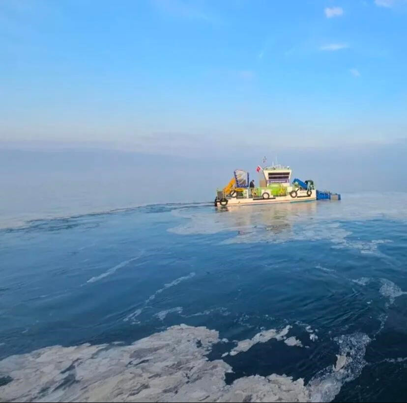 Marmara Denizi'nde çalışmalar başladı: Yıllar önce zirveye ulaşmıştı, müsilaj tehdidi için kollar sıvandı - 1. Resim
