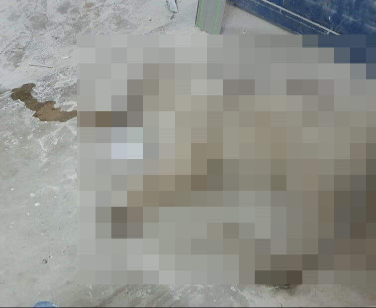 Bodrum'da dehşet! Hayvan katliamı yapıldı - 2. Resim