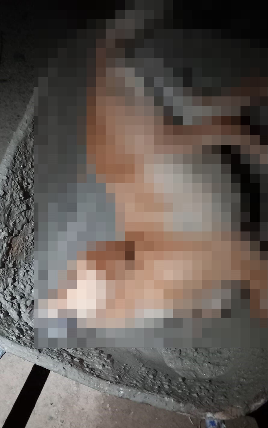 Bodrum'da dehşet! Hayvan katliamı yapıldı - 1. Resim