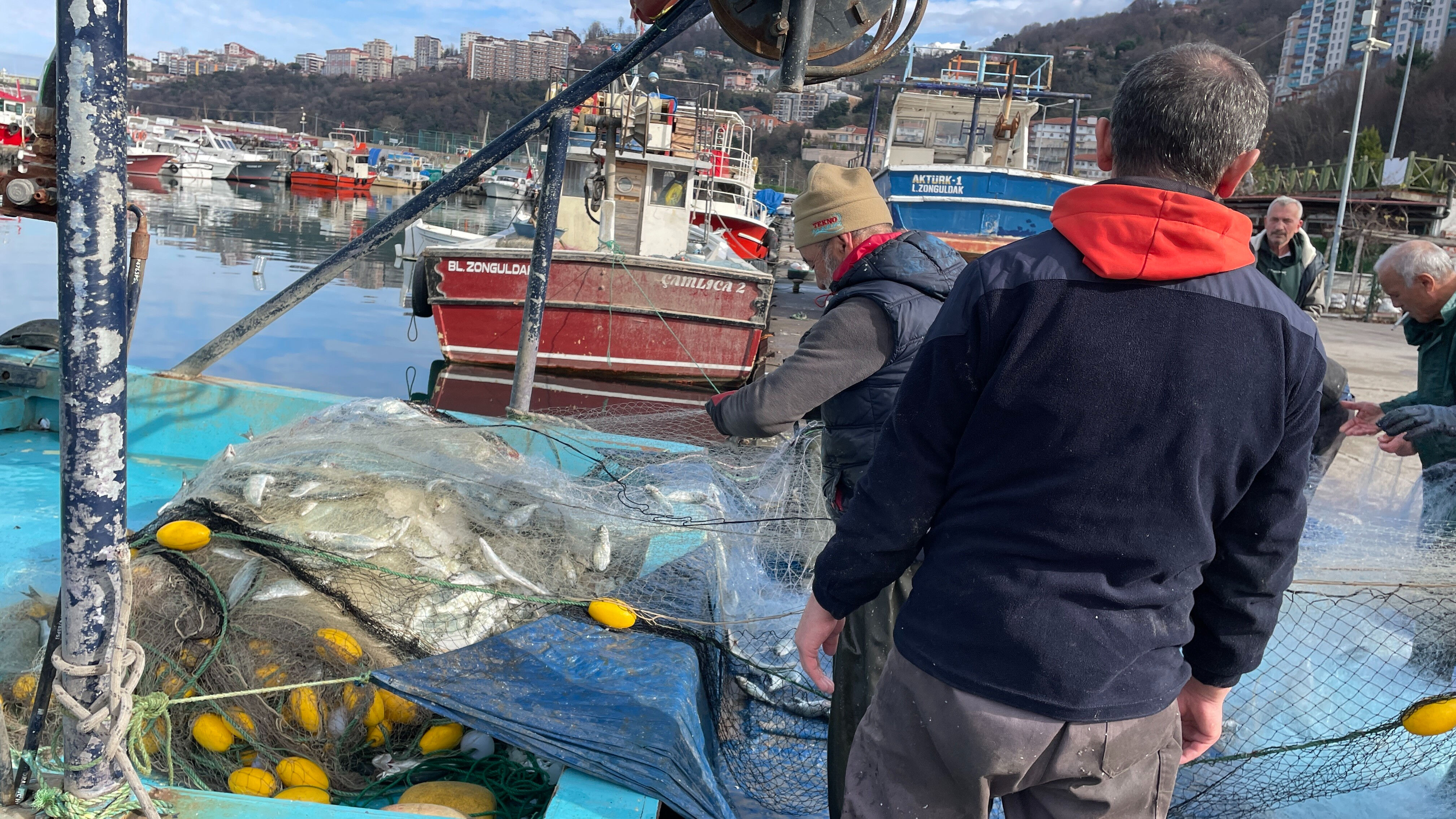 Küçük tekne ile açıldılar 2 ton avladılar! "Denizlerin prensi" 250 liradan satılacak - 1. Resim