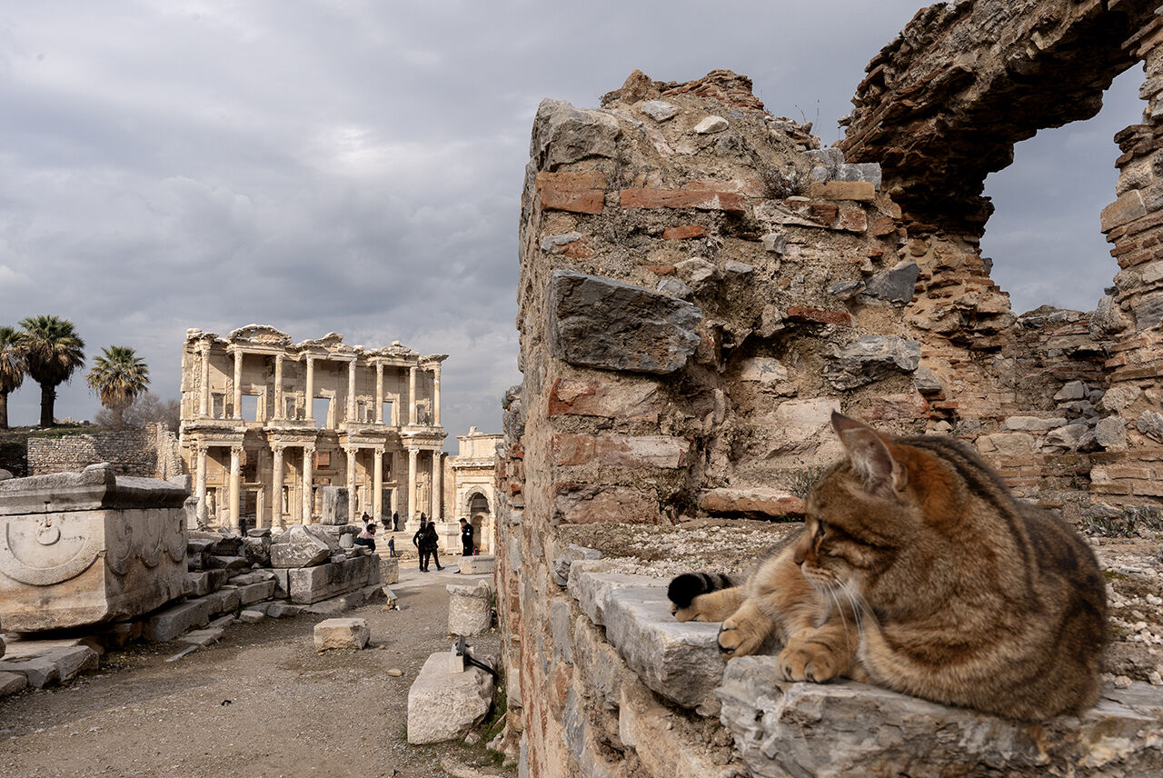 Ziyaretçi rekoru Efes'te! Tarihindeki en yüksek sayıya 2024'te ulaştı - 12. Resim