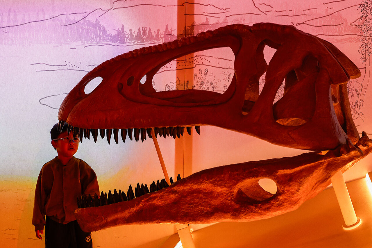 Devasa dinozor iskeletleri buraya taşındı! Dünya üzerinde dolaşan en büyük hayvanlar sergilendi - 1. Resim