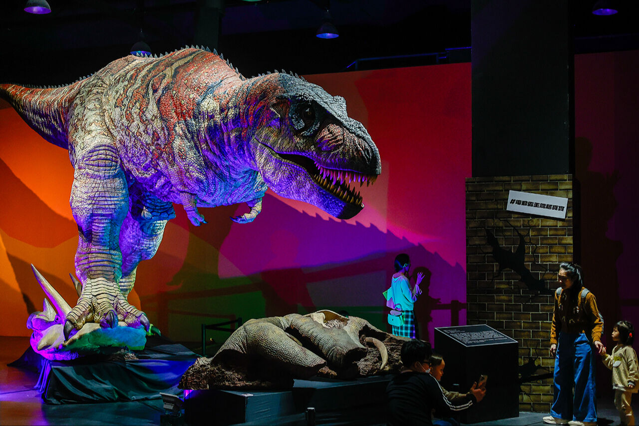 Devasa dinozor iskeletleri buraya taşındı! Dünya üzerinde dolaşan en büyük hayvanlar sergilendi - 2. Resim