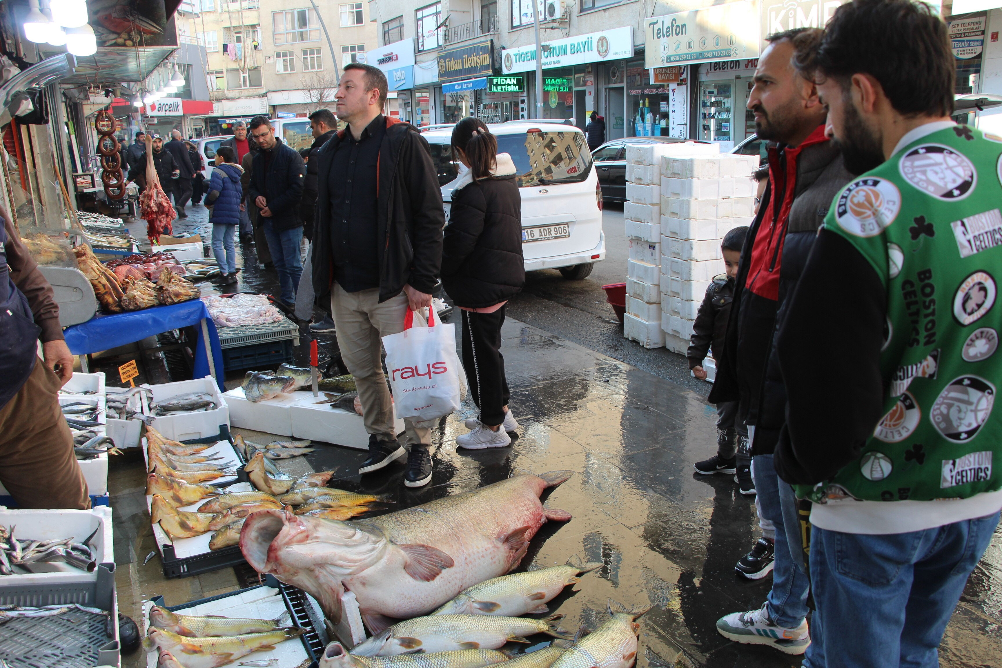 Devasa balık Elazığ'da yakalandı: 42 bin liraya satıyorlar, müşteriler kuyrukta! - 1. Resim