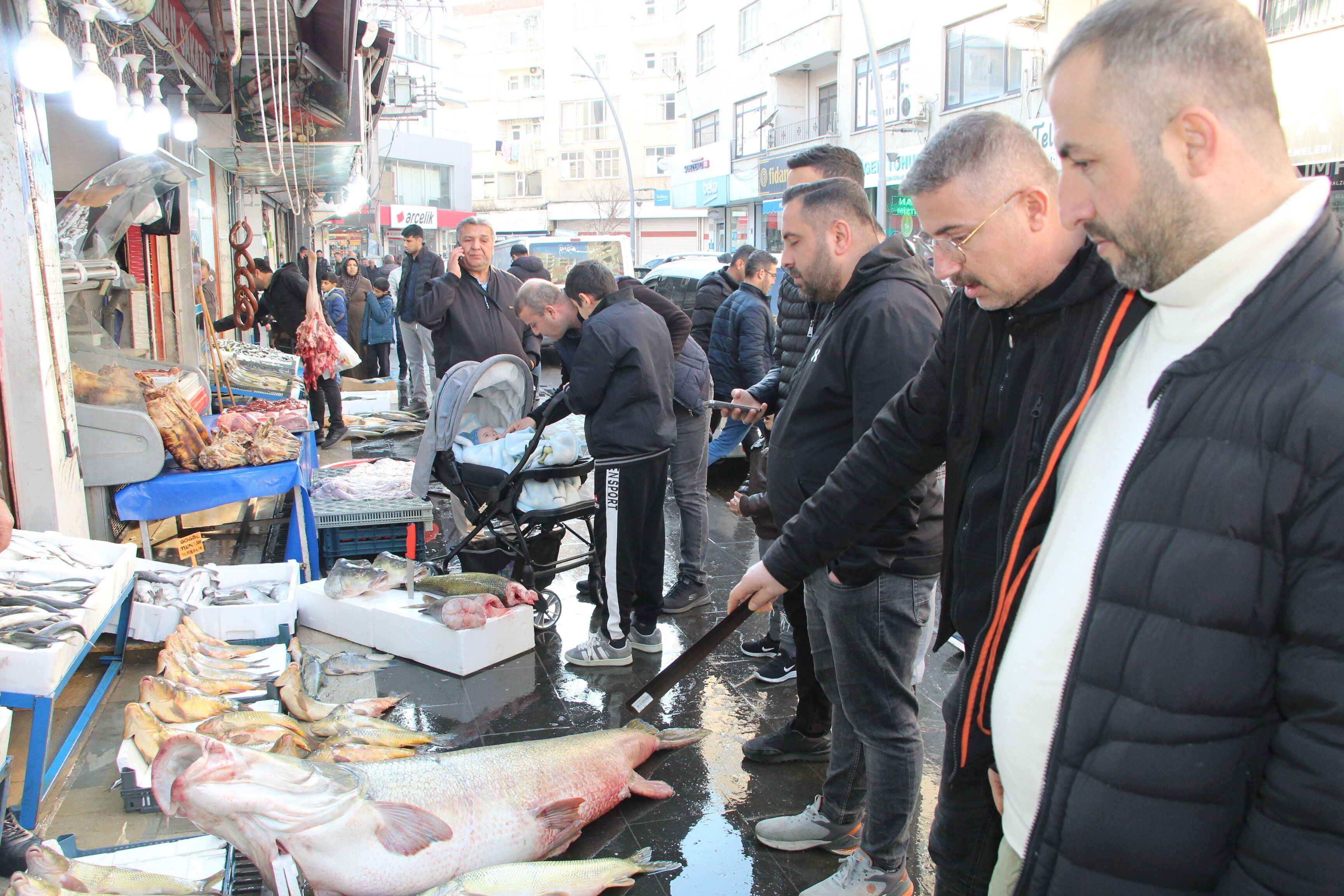Devasa balık Elazığ'da yakalandı: 42 bin liraya satıyorlar, müşteriler kuyrukta! - 2. Resim