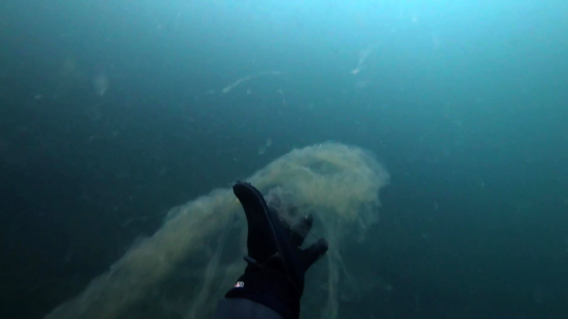 Önce Marmara Denizi, şimdi İzmir Körfezi: Müsilaj kabusu geri döndü - 2. Resim