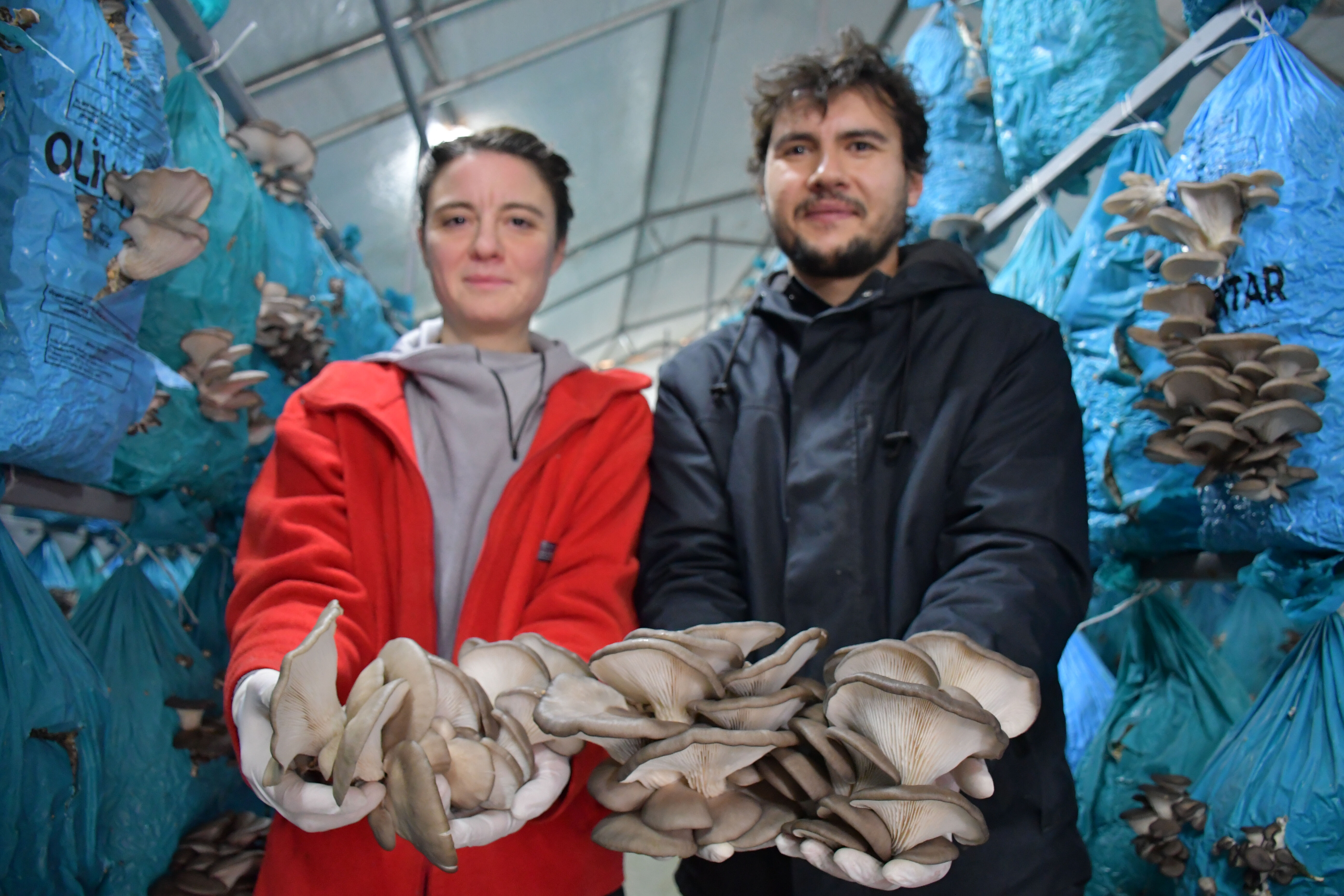 Şehir hayatından kaçtılar, devasa bir tesis kurdular! Yıllık 8 ila 10 ton ürün üretiyorlar Şehir hayatından kaçtılar, devasa bir tesis kurdular! Yıllık 8 ila 10 ton ürün üretiyorlar - 1. Resim