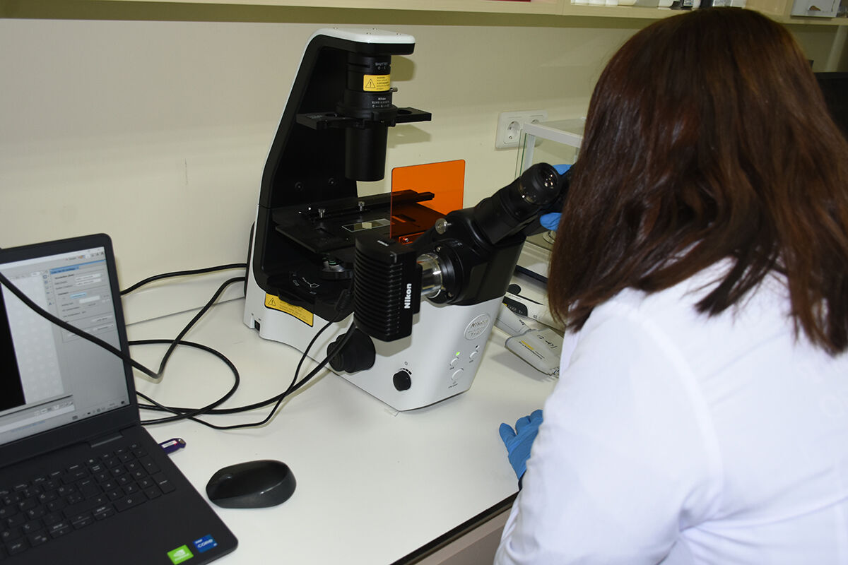 Akciğer iltihabı için yeni tedavi! Hayvanlarda denenen yöntem sayesinde hastalar rahat nefes alacak - 2. Resim