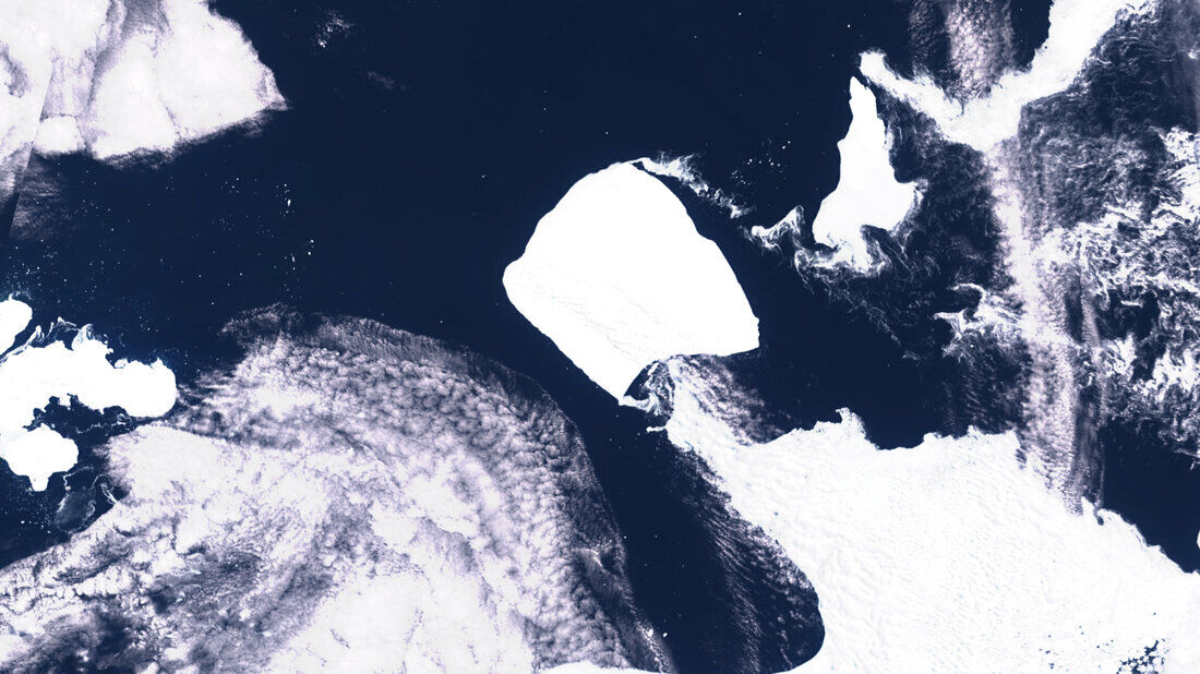 Dünyanın en büyük buzdağı felakete sürükleniyor! Geniş çaplı ölümlere neden olabilir - 3. Resim