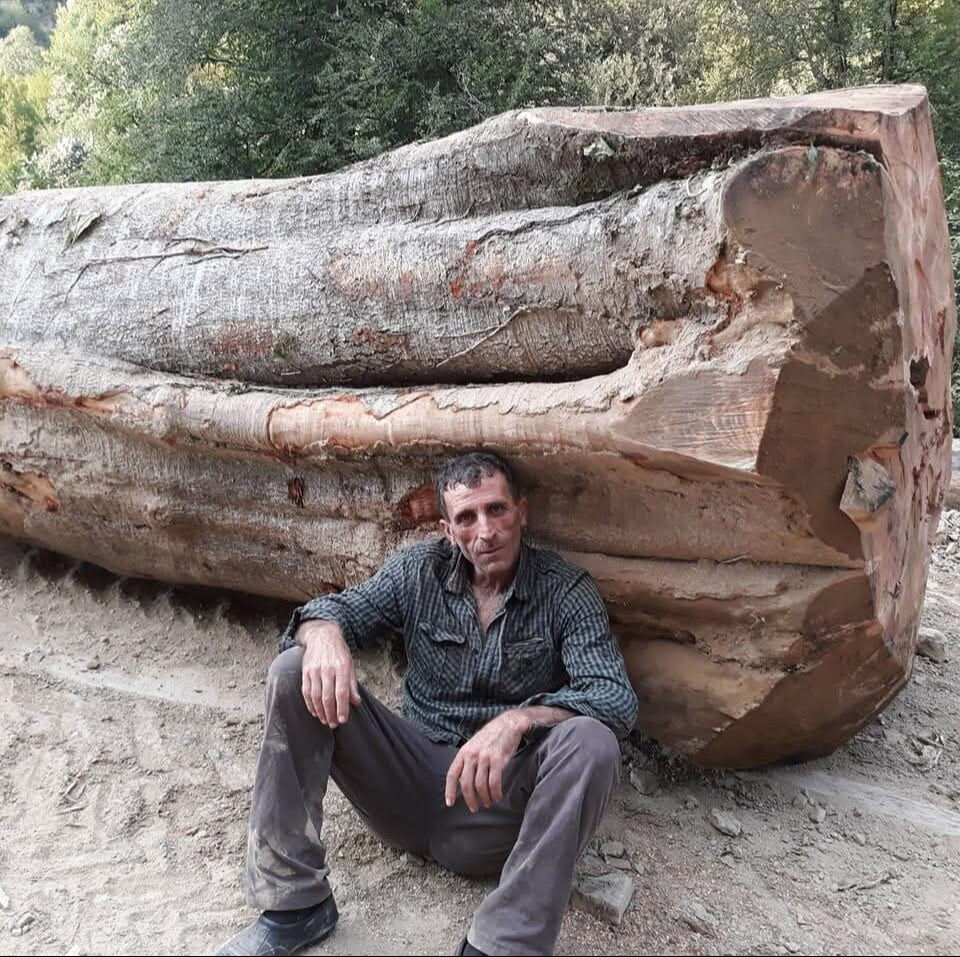 Kestiği ara&ccedil; sonu oldu! Orman iş&ccedil;isi feci şekilde can verdi - 1. Resim