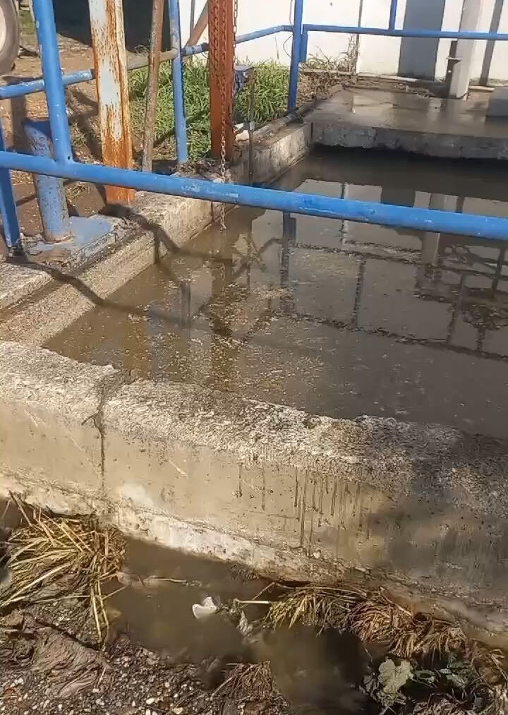 Körfez'in içler acısı halinin nedeni belli oldu! İzmir Büyükşehir Belediyesi'ne milyonlarca liralık ceza Körfez'in içler acısı halinin nedeni belli oldu! İzmir Büyükşehir Belediyesi'ne milyonlarca liralık ceza - 2. Resim