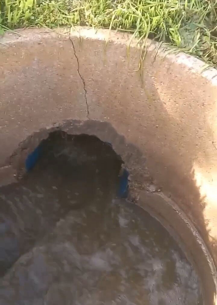 Körfez'in içler acısı halinin nedeni belli oldu! İzmir Büyükşehir Belediyesi'ne milyonlarca liralık ceza Körfez'in içler acısı halinin nedeni belli oldu! İzmir Büyükşehir Belediyesi'ne milyonlarca liralık ceza - 4. Resim