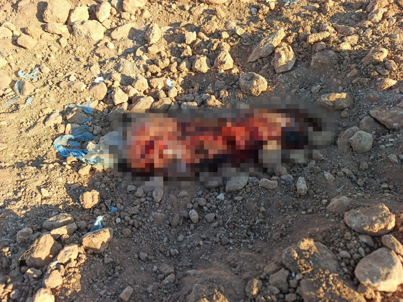 Şanlıurfa'da korkunç olay! 15 gündür kayıptı, cesedi toprağa gömülü bulundu - 2. Resim