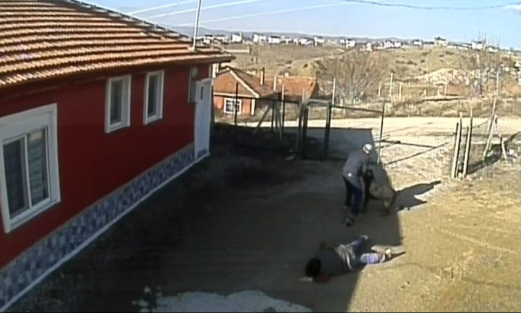 Bu kez sahipli köpek saldırdı! "Besliyorsa sahip çıksın, benim canımdan önemli değil!" - 1. Resim