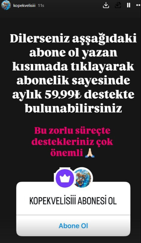Mama vurgunuyla 18 milyonu cebe indirdi! 'Köpek Velisi' Buket para toplamaya devam ediyor Mama vurgunuyla 18 milyonu cebe indirdi! 'Köpek Velisi' Buket para toplamaya devam ediyor - 5. Resim
