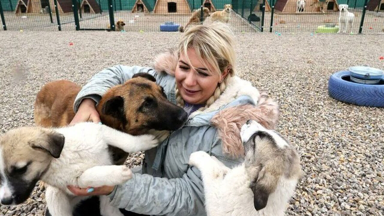 Mama vurgunuyla 18 milyonu cebe indirdi! 'Köpek Velisi' Buket para toplamaya devam ediyor Mama vurgunuyla 18 milyonu cebe indirdi! 'Köpek Velisi' Buket para toplamaya devam ediyor - 1. Resim