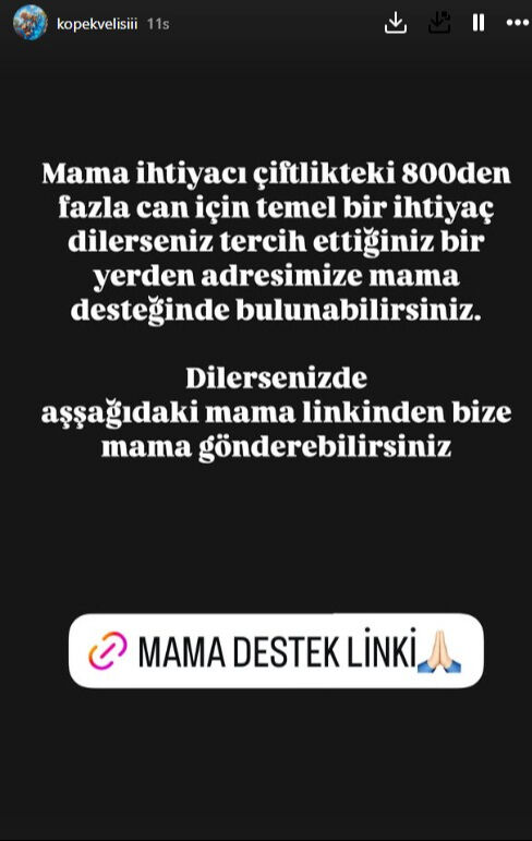Mama vurgunuyla 18 milyonu cebe indirdi! 'Köpek Velisi' Buket para toplamaya devam ediyor Mama vurgunuyla 18 milyonu cebe indirdi! 'Köpek Velisi' Buket para toplamaya devam ediyor - 4. Resim