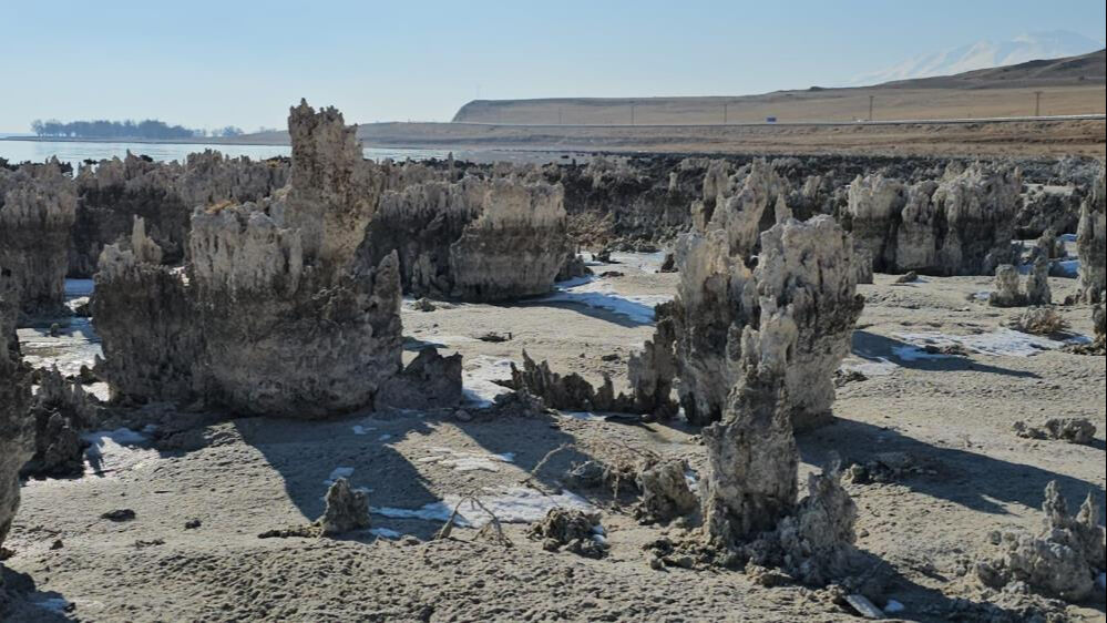 Van Gölü'nde ürküten görüntü! Sahile gidenler korkunç tablo ile karşılaştı Van Gölü'nde ürküten görüntü! Sahile gidenler korkunç tablo ile karşılaştı - 1. Resim