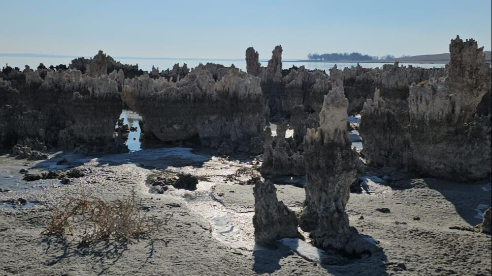 Van Gölü'nde ürküten görüntü! Sahile gidenler korkunç tablo ile karşılaştı Van Gölü'nde ürküten görüntü! Sahile gidenler korkunç tablo ile karşılaştı - 4. Resim