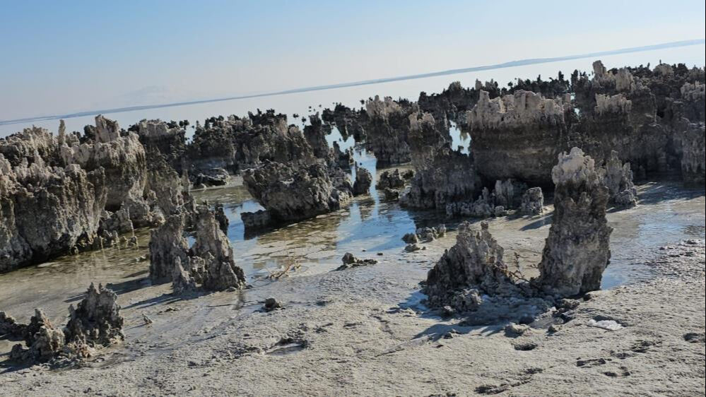 Van Gölü'nde ürküten görüntü! Sahile gidenler korkunç tablo ile karşılaştı Van Gölü'nde ürküten görüntü! Sahile gidenler korkunç tablo ile karşılaştı - 2. Resim