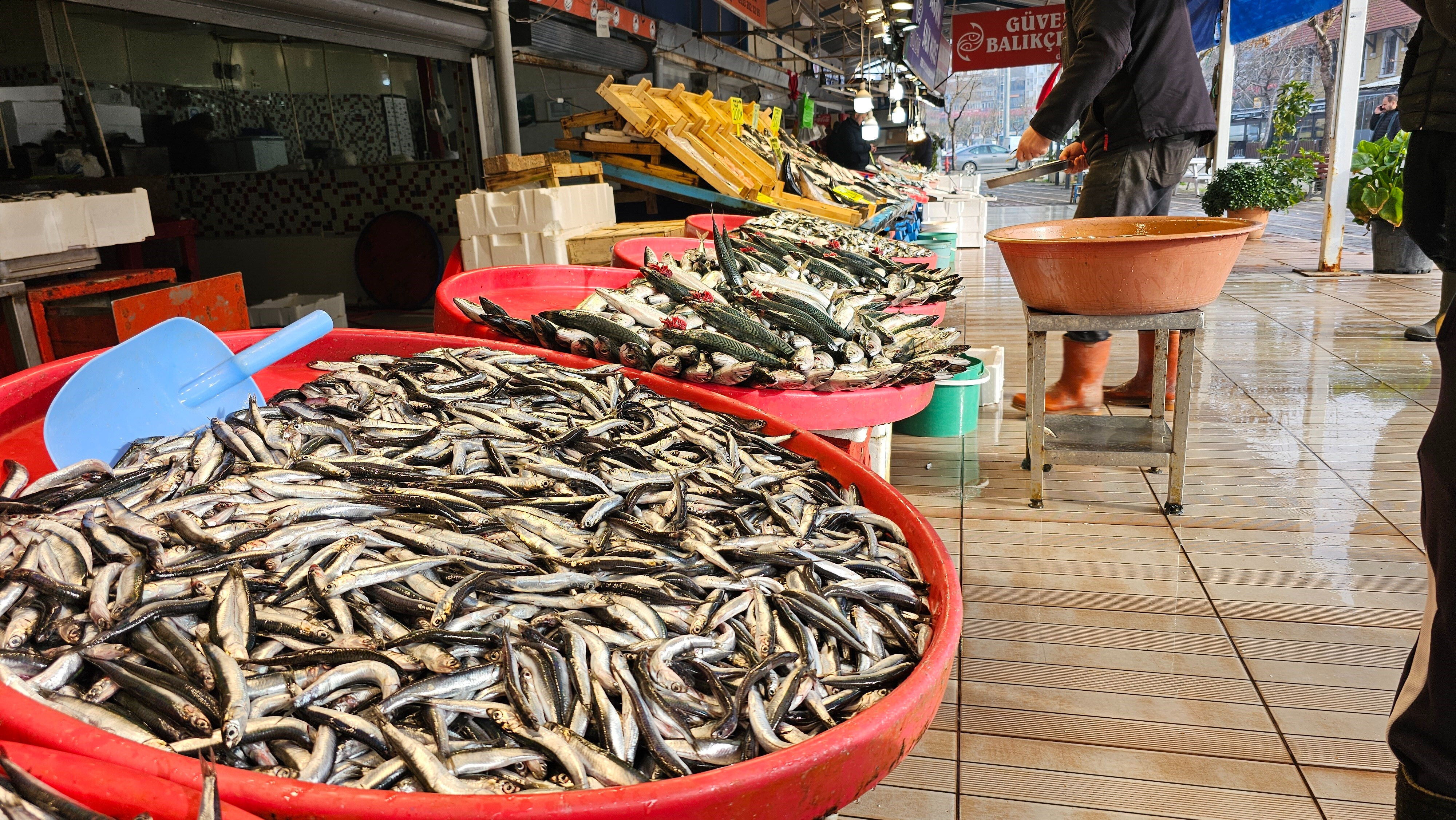 Balıkçılar denizden umduğunu bulamadı! Lodos fiyatları uçurdu, hamsinin kilosu cep yakıyor - 3. Resim