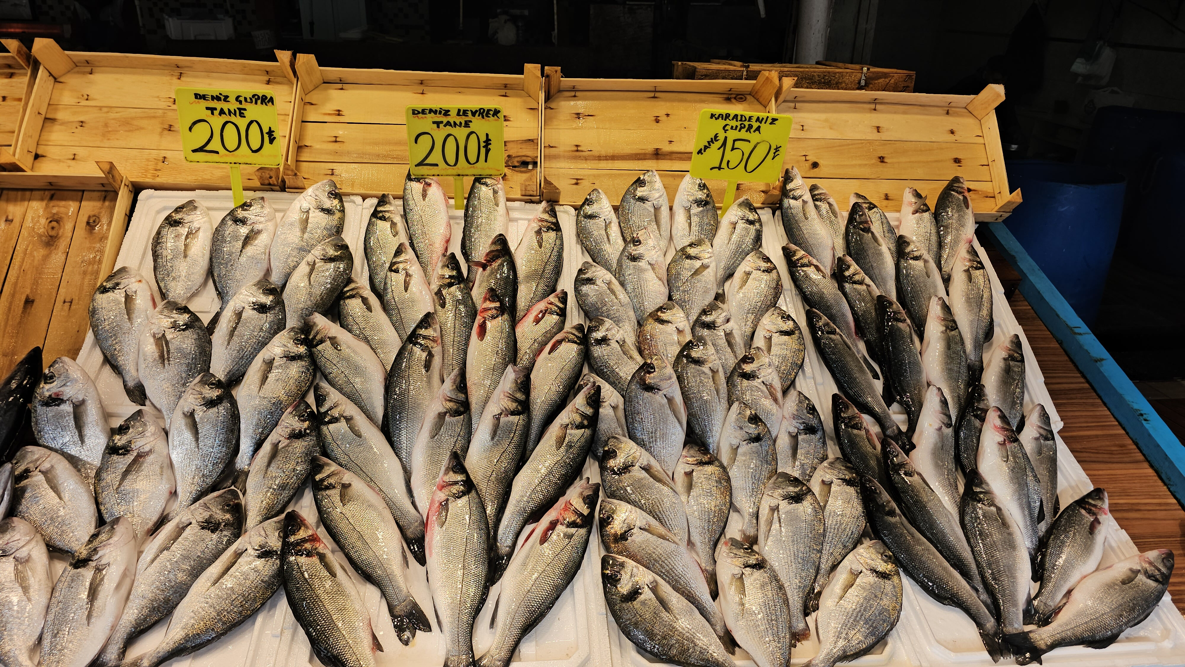 Balıkçılar denizden umduğunu bulamadı! Lodos fiyatları uçurdu, hamsinin kilosu cep yakıyor - 2. Resim