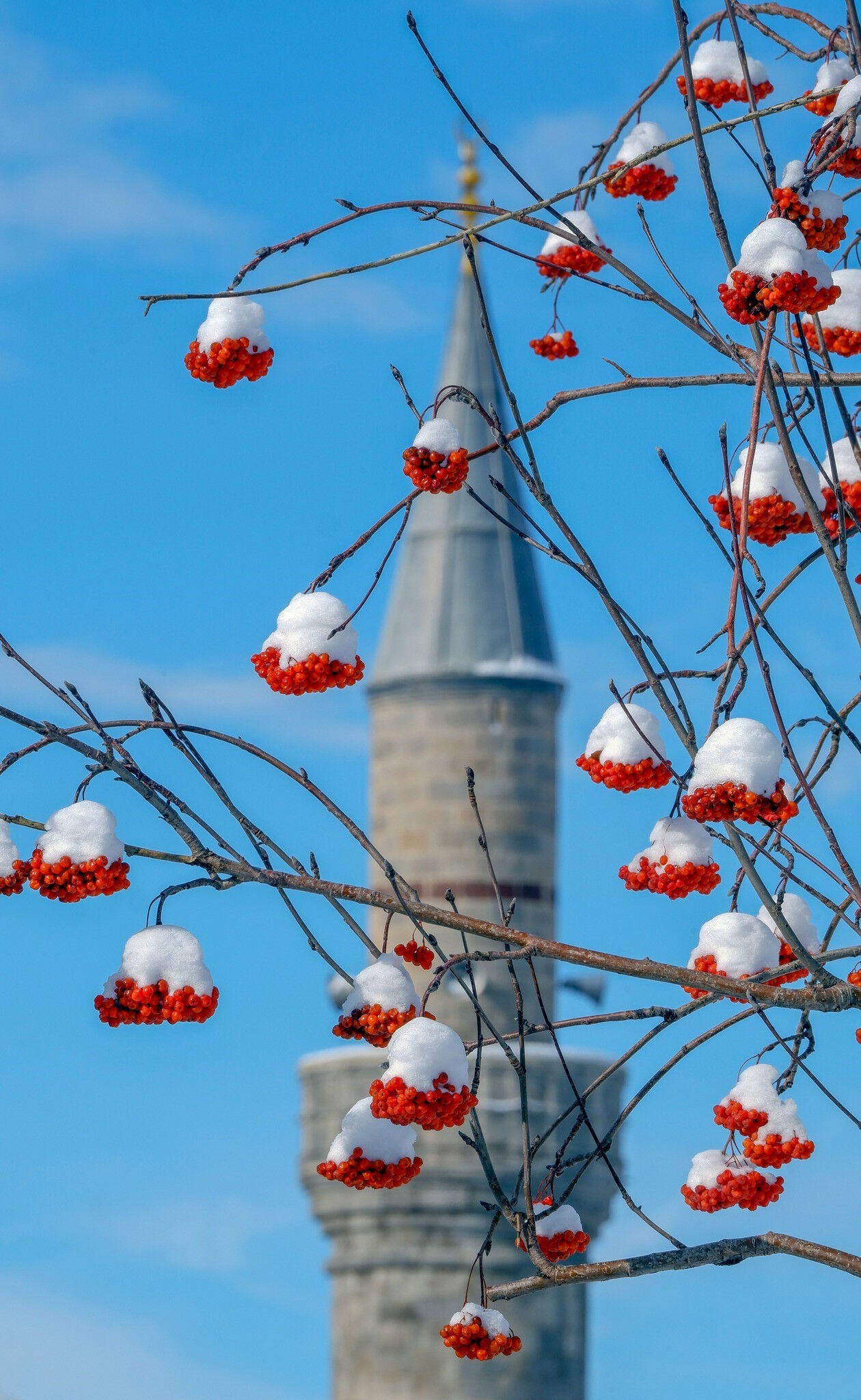 Termometreler eksi 34'e kadar indi! İşte Türkiye'nin en soğuk yerleri - 1. Resim