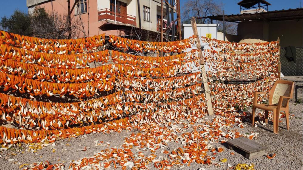 Bu meyvelerin kabuğu bile para ediyor! Avrupalı alıyor, kilosu 25 liradan satılıyor - 4. Resim
