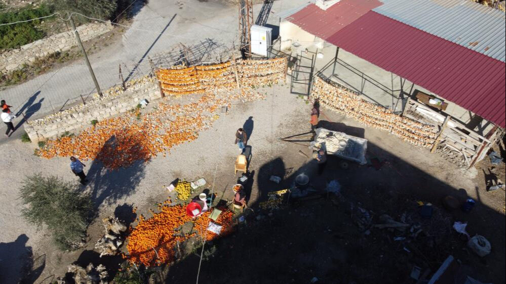 Bu meyvelerin kabuğu bile para ediyor! Avrupalı alıyor, kilosu 25 liradan satılıyor - 7. Resim