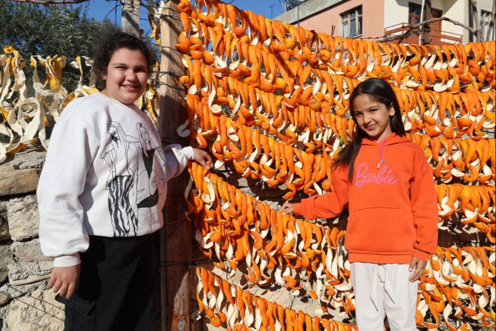 Bu meyvelerin kabuğu bile para ediyor! Avrupalı alıyor, kilosu 25 liradan satılıyor - 1. Resim