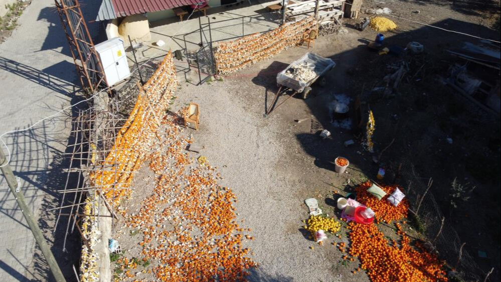 Bu meyvelerin kabuğu bile para ediyor! Avrupalı alıyor, kilosu 25 liradan satılıyor - 6. Resim