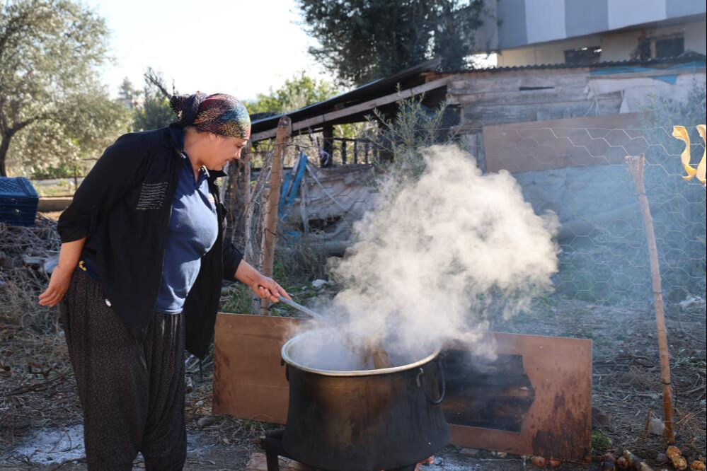 Bu meyvelerin kabuğu bile para ediyor! Avrupalı alıyor, kilosu 25 liradan satılıyor - 2. Resim