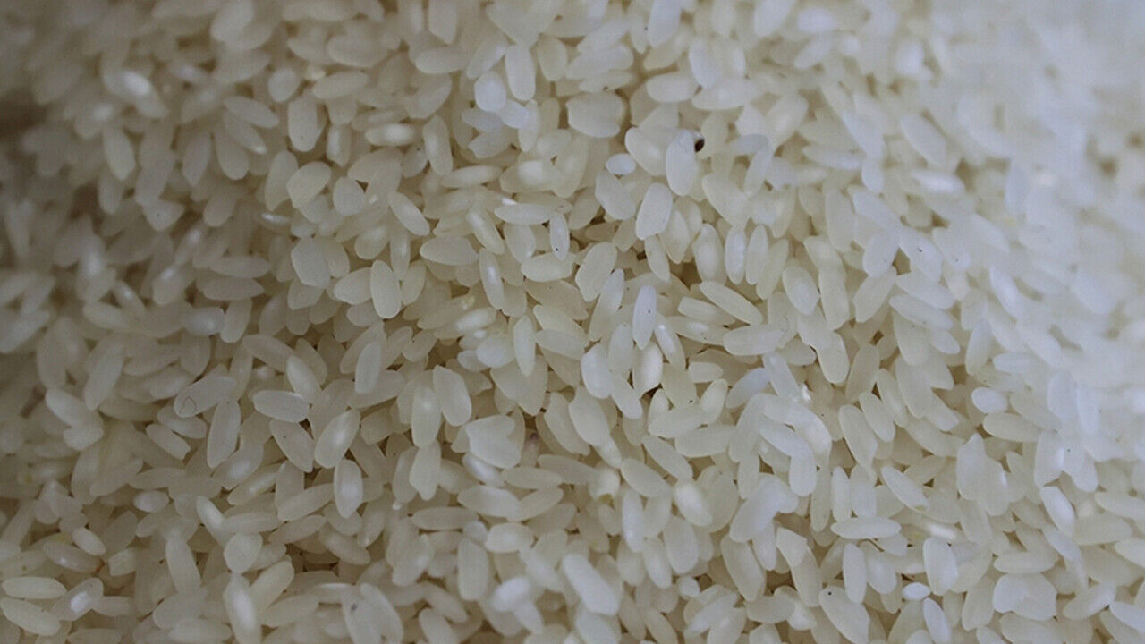 Çorum'da pirinç türlerini tespit edebilen yapay zeka destekli yazılım geliştirildi - 1. Resim