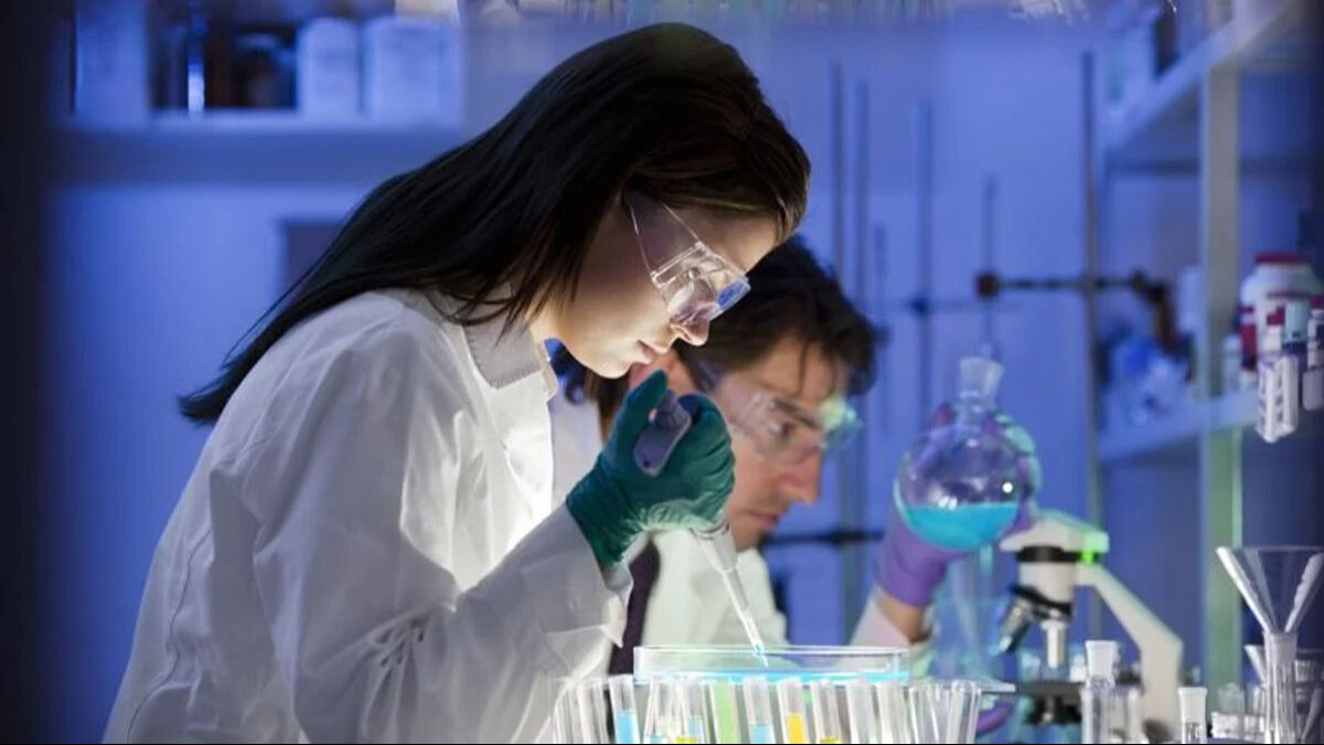 Geleceğin meslekleri: Hangi alanlar öne çıkacak! - 3. Resim