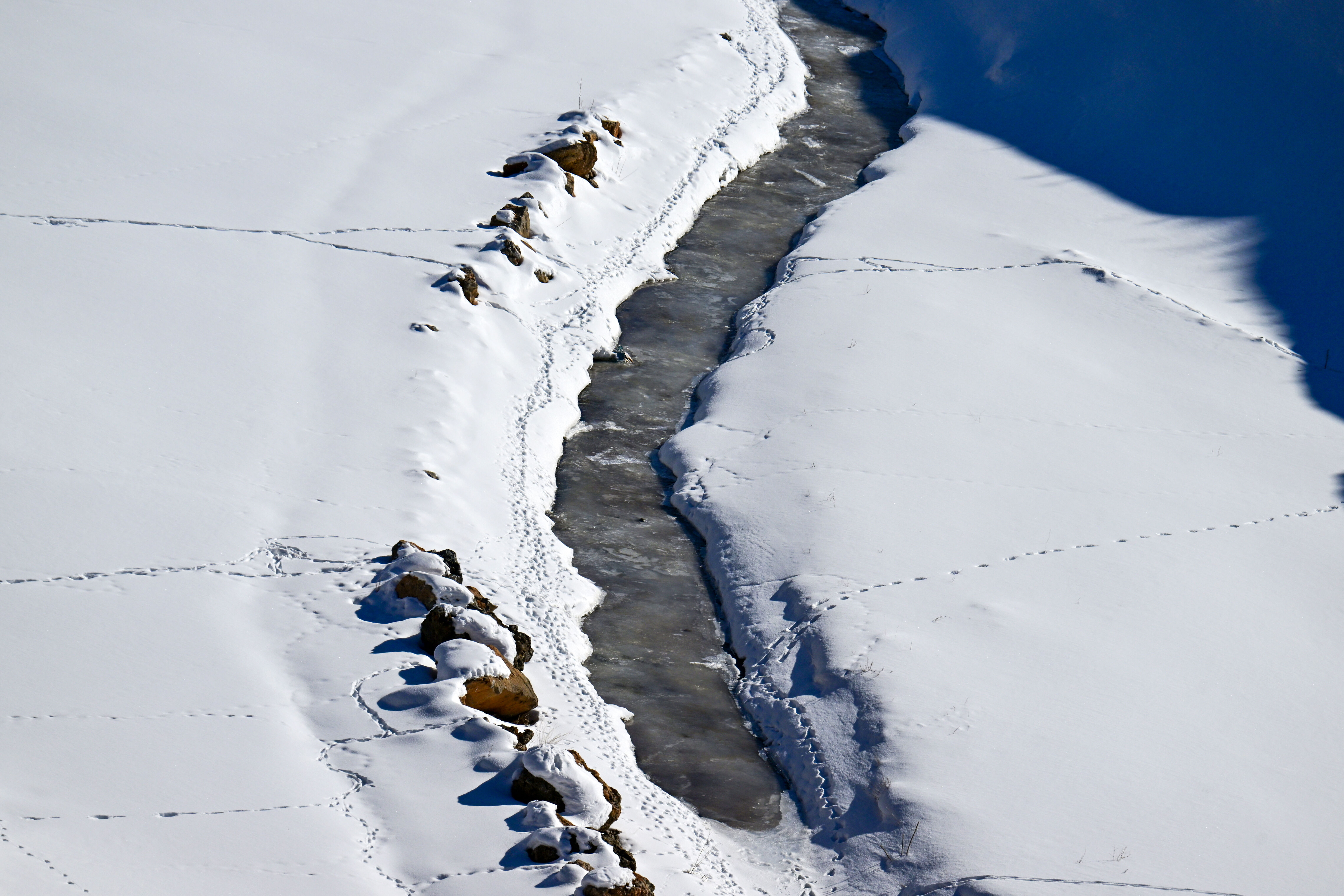 Van'ı esir aldı: İnsanlar evlerinden dışarı çıkamıyor! Su depoları bile buz tuttu, ekipler müdahale edemiyor - 2. Resim