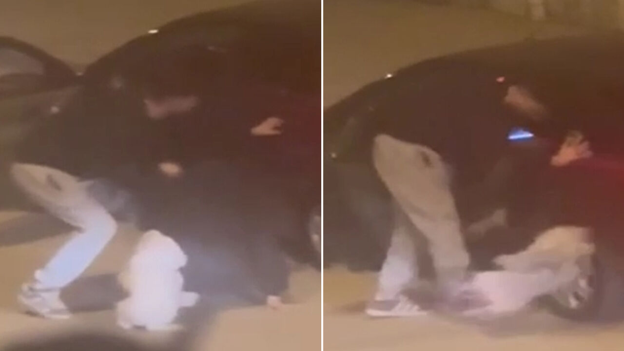 16 yaşındaki genç kıza ve köpeğine saldırdı, defalarca tekmeledi! Dehşet anları kamerada - 1. Resim