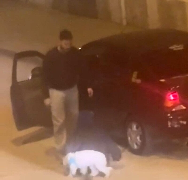 Hem genç kızı hem köpeğini dakikalarca darbetmişti: 'Barışmadı' diye öldürmek istedi! - 1. Resim