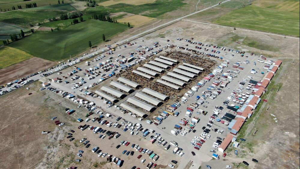 Şap alarmı verildi! Türkiye'nin en büyük hayvan pazarı kapatıldı Şap alarmı verildi! Türkiye'nin en büyük hayvan pazarı kapatıldı - 1. Resim